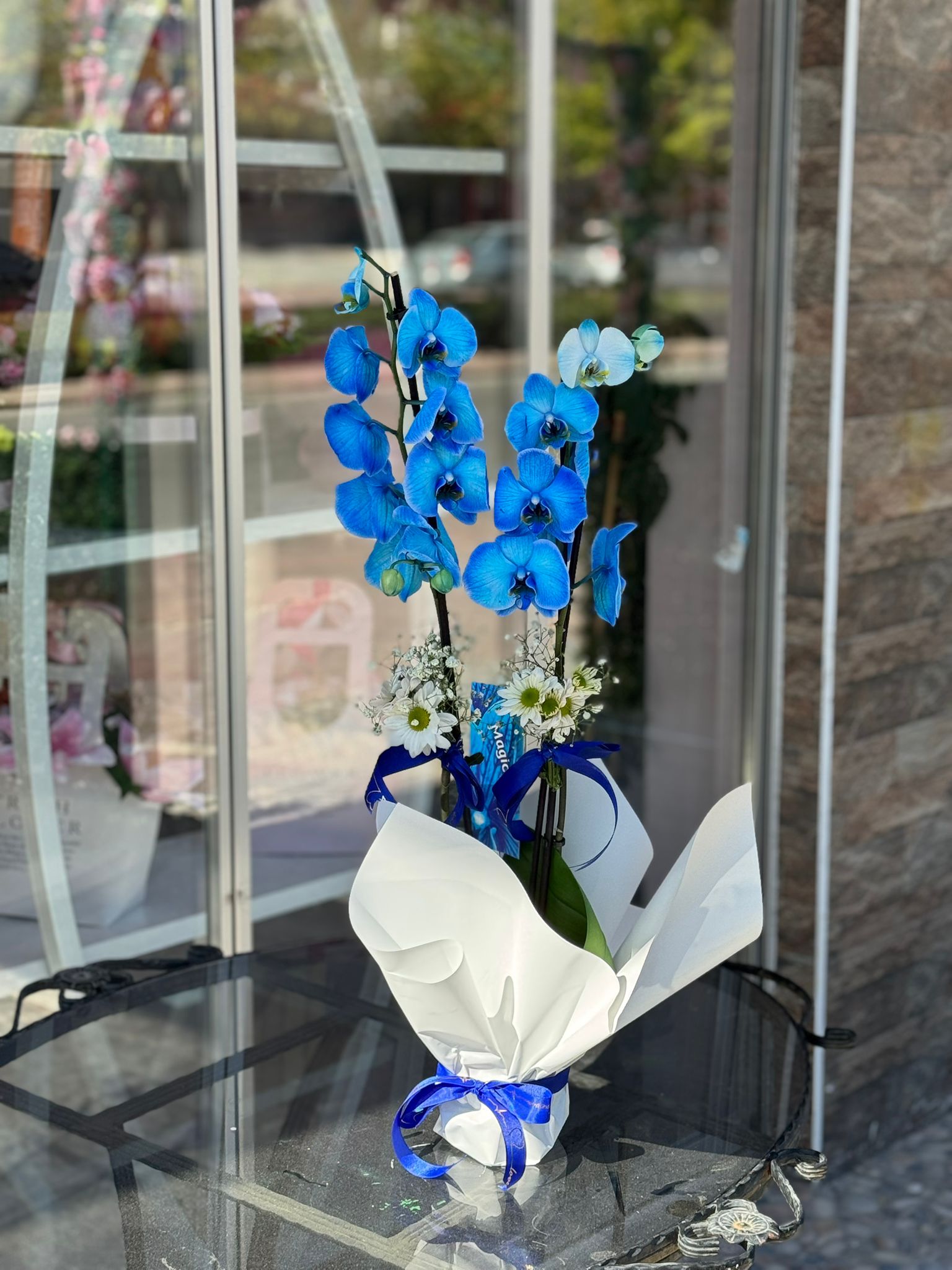 Mavi Orkide Çiceği