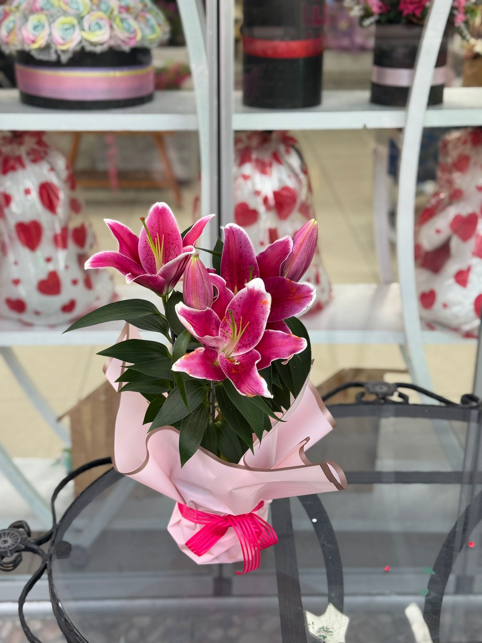 Saksıda Küçük Lilyum Saksı Çiçeği