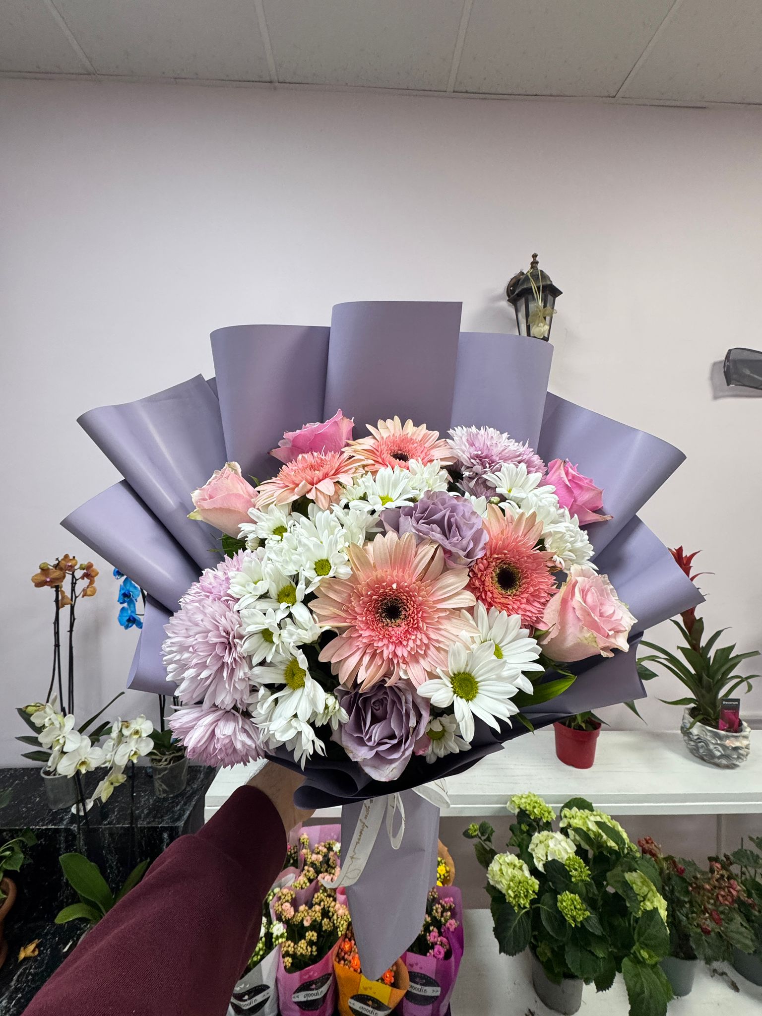 Renkli Güller ve Papatyalar